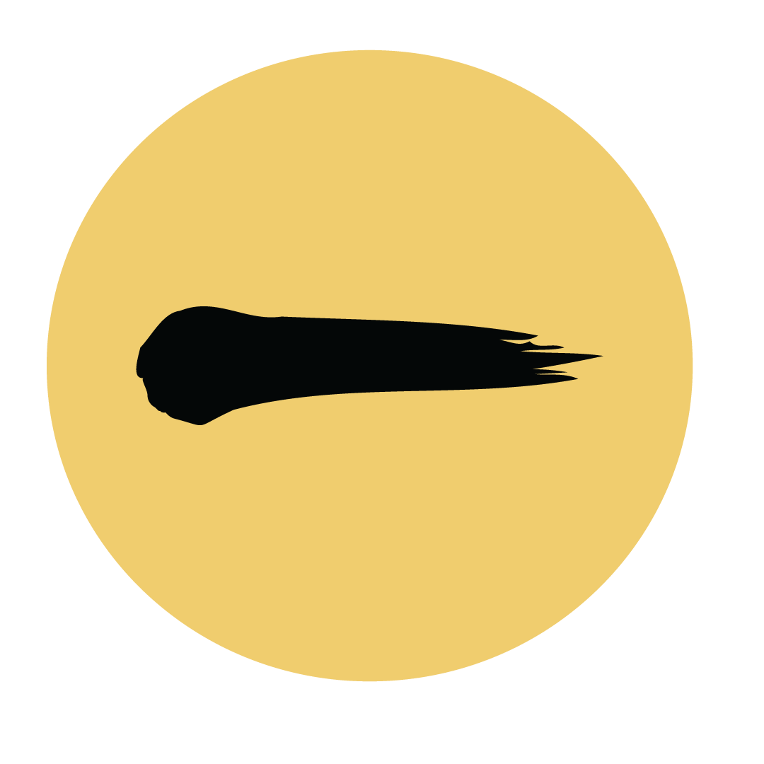Anbesa-Logo-2